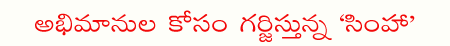 simha cinema,balakrishna  simha cinema, balakrishna